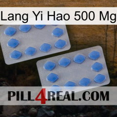 Lang Yi Hao 500 Mg 20